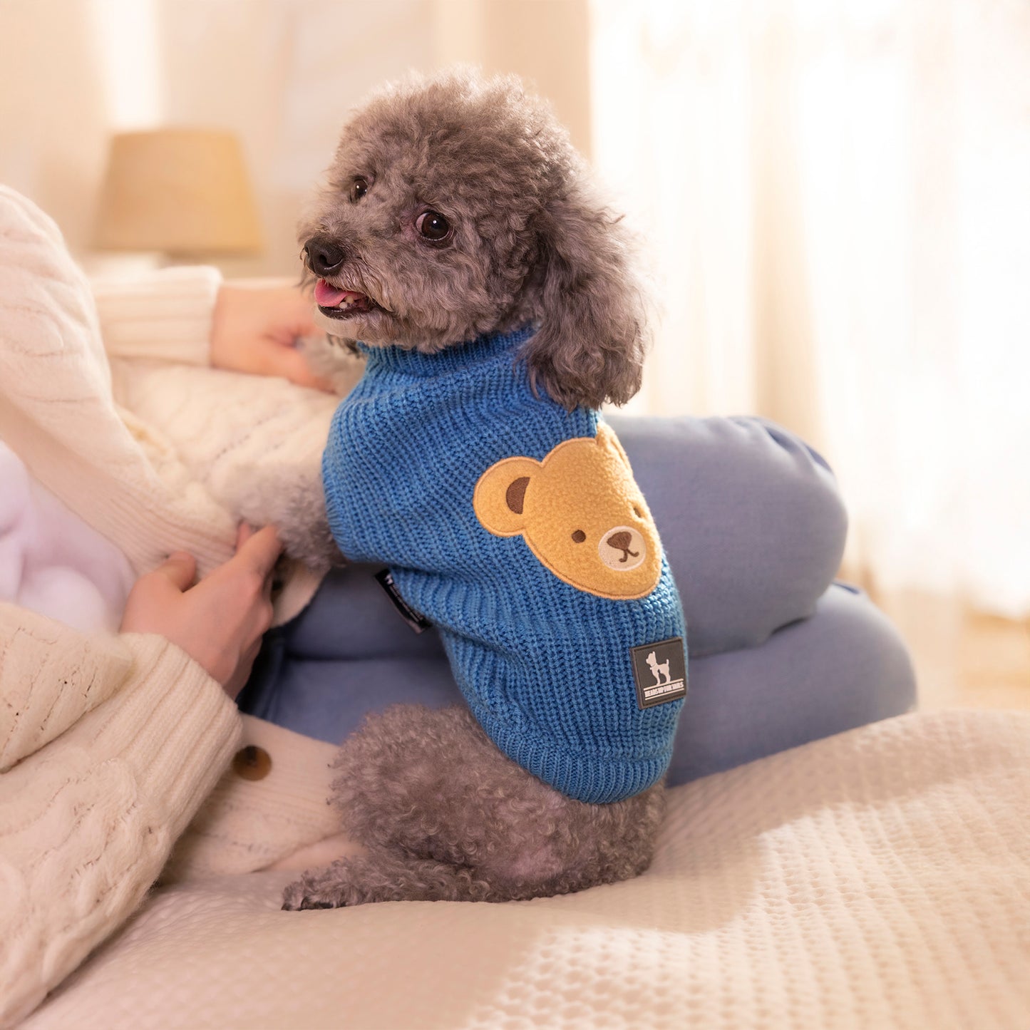HUFT Snuggle Bear Sweater For Small Dog - Light Blue - Heads Up For Tails