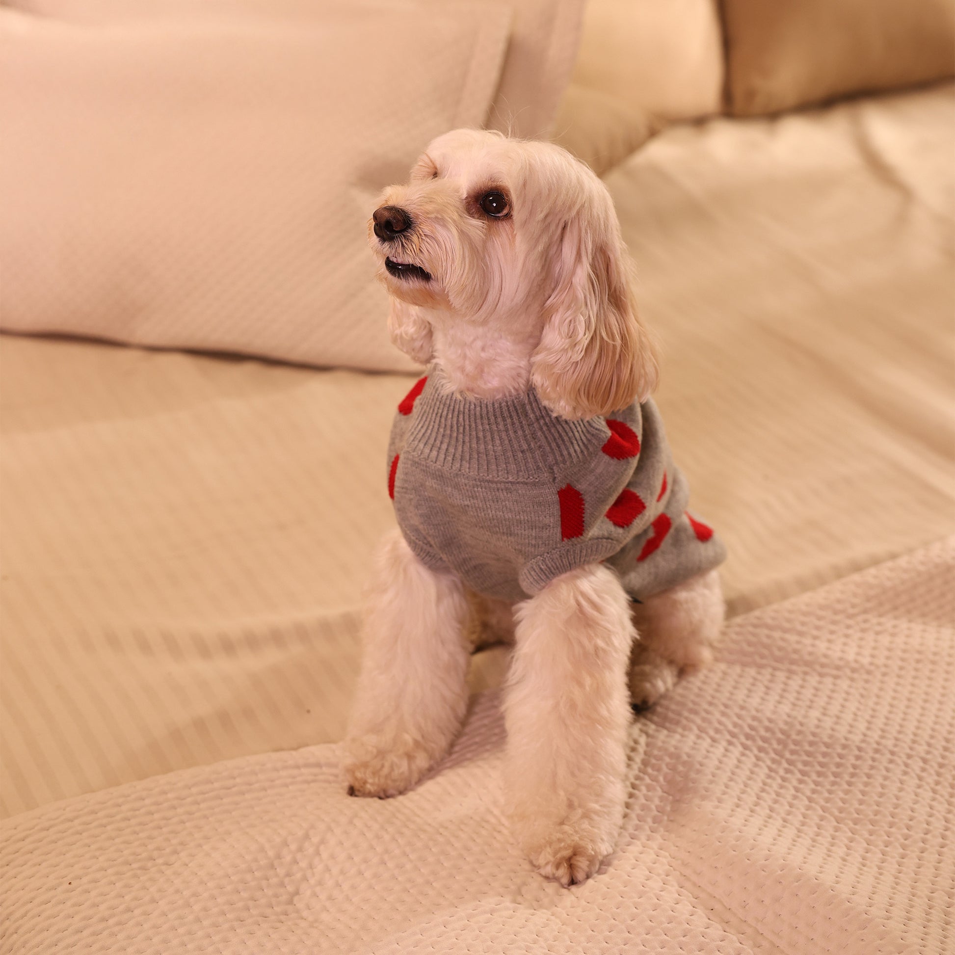 HUFT Classic Love Sweater For Small Dog - Grey - Heads Up For Tails