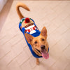 HUFT Reindeer Cheer Sweater For Dog - Blue - Heads Up For Tails