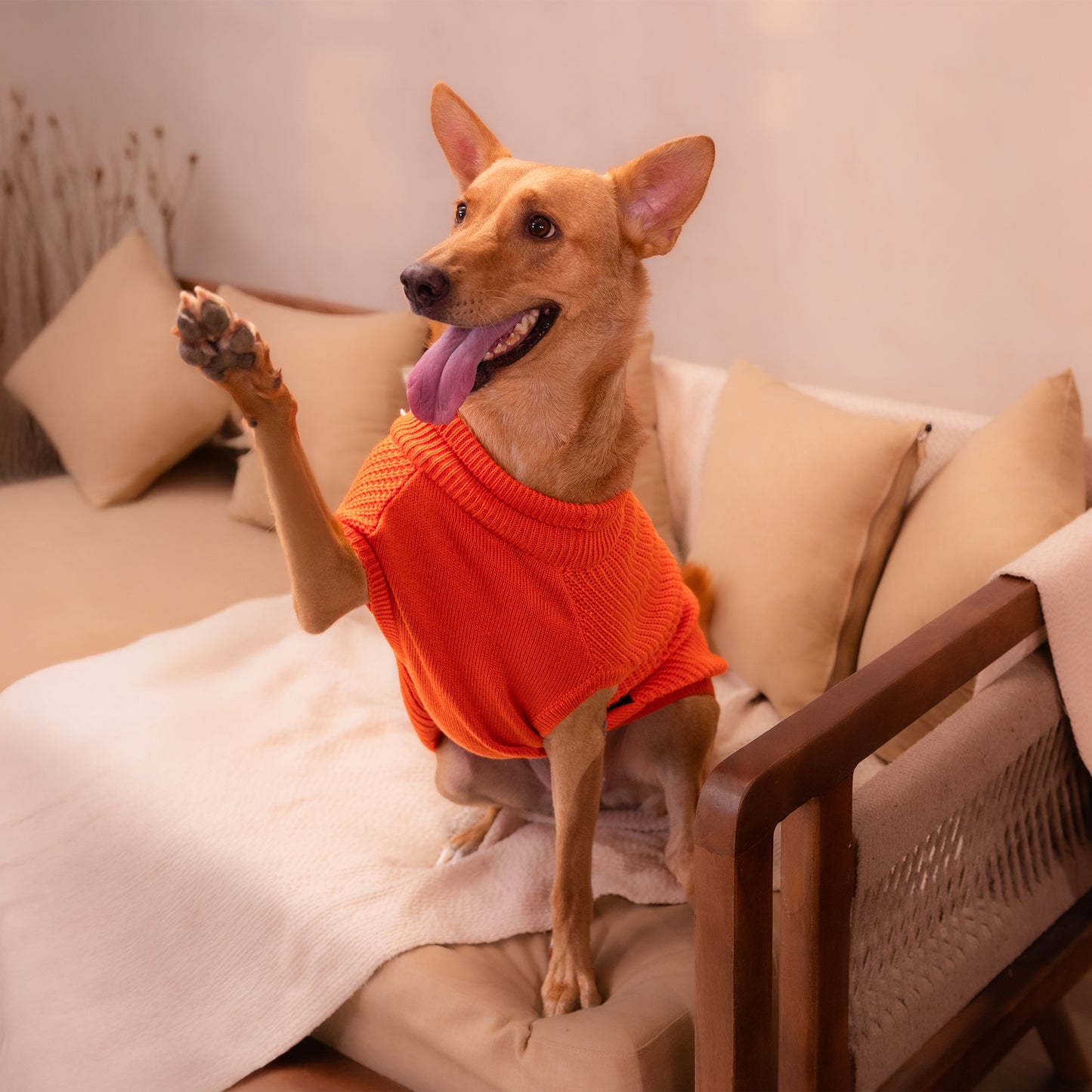 HUFT Winter Spice Sweater For Dog - Orange - Heads Up For Tails