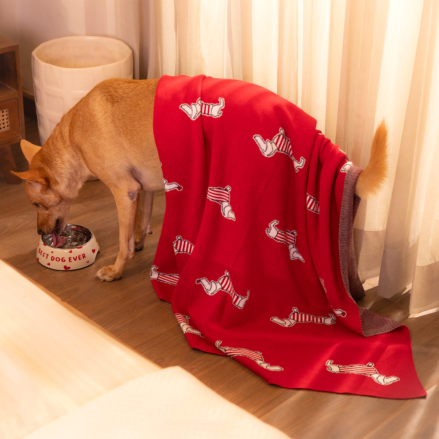 HUFT Stripes & Snouts Blanket With Cushion For Dog - Red - Heads Up For Tails