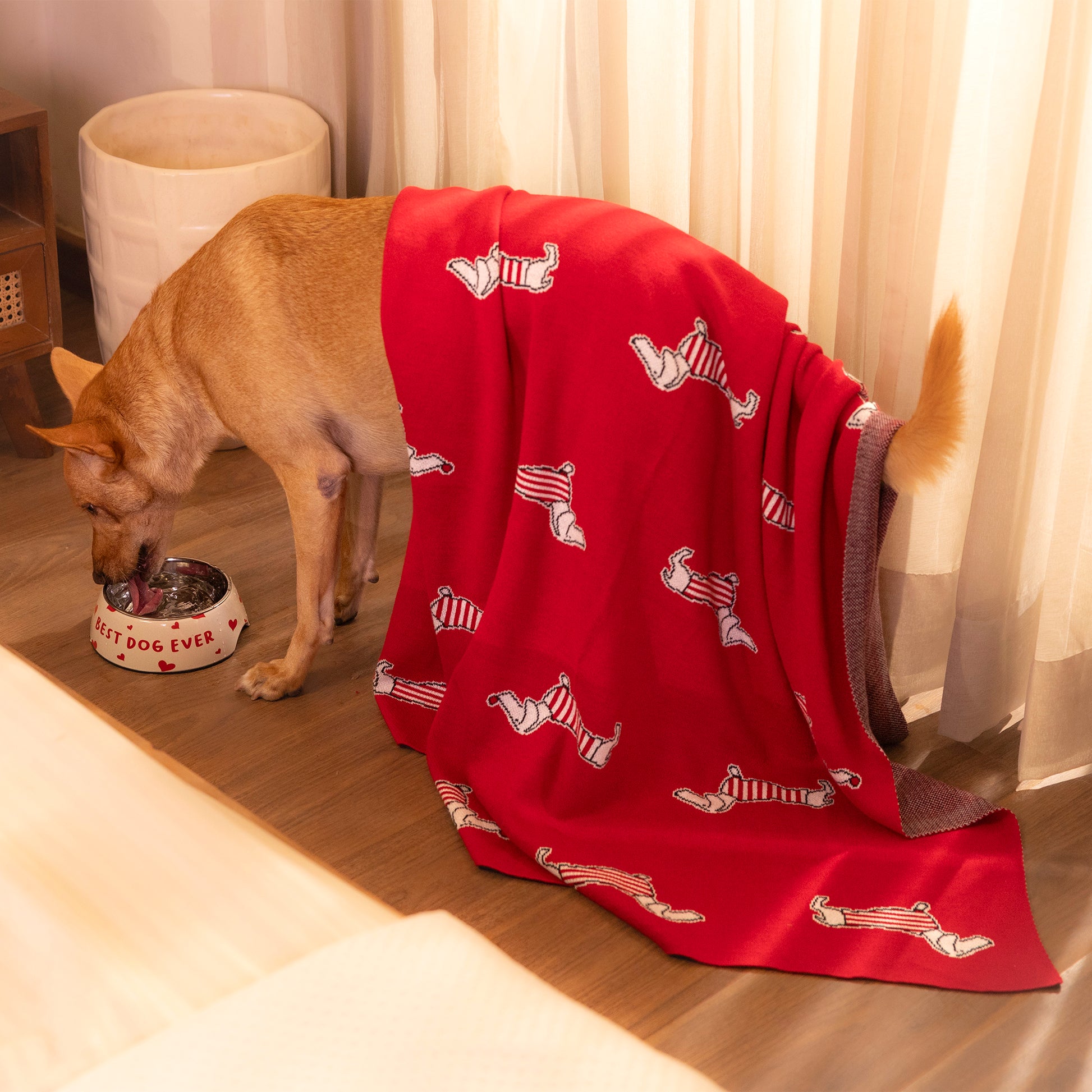 HUFT Stripes & Snouts Blanket With Cushion For Dog - Red - Heads Up For Tails