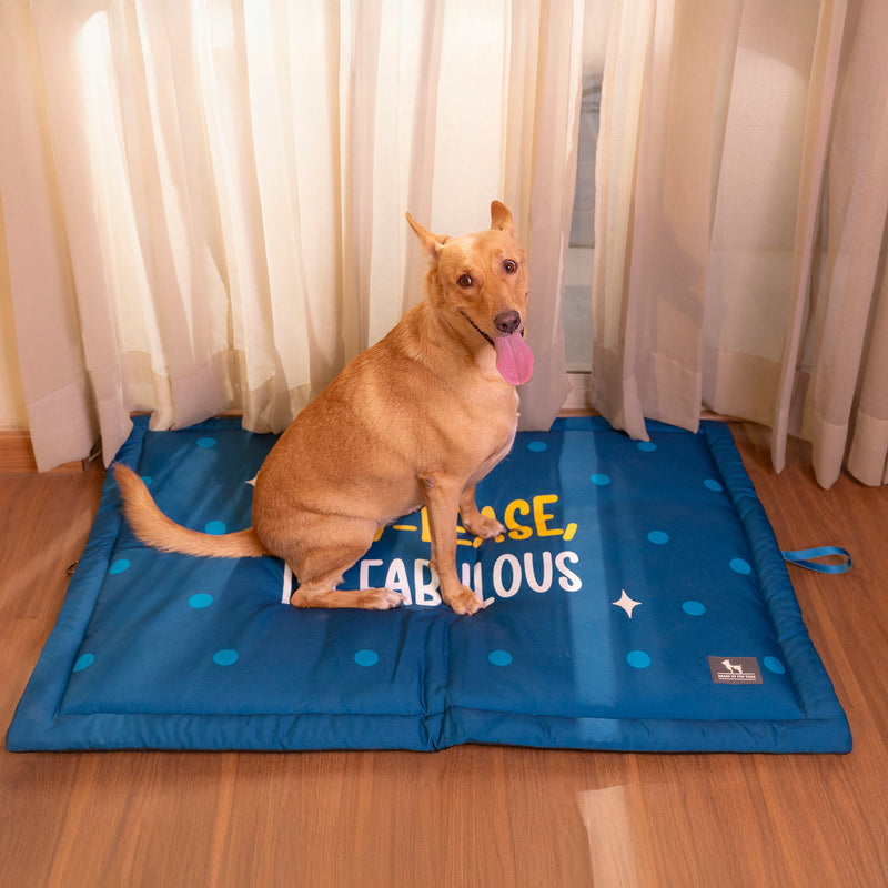 HUFT Pawlease I'm Fabulous Mat For Dog - Teal Blue - Heads Up For Tails
