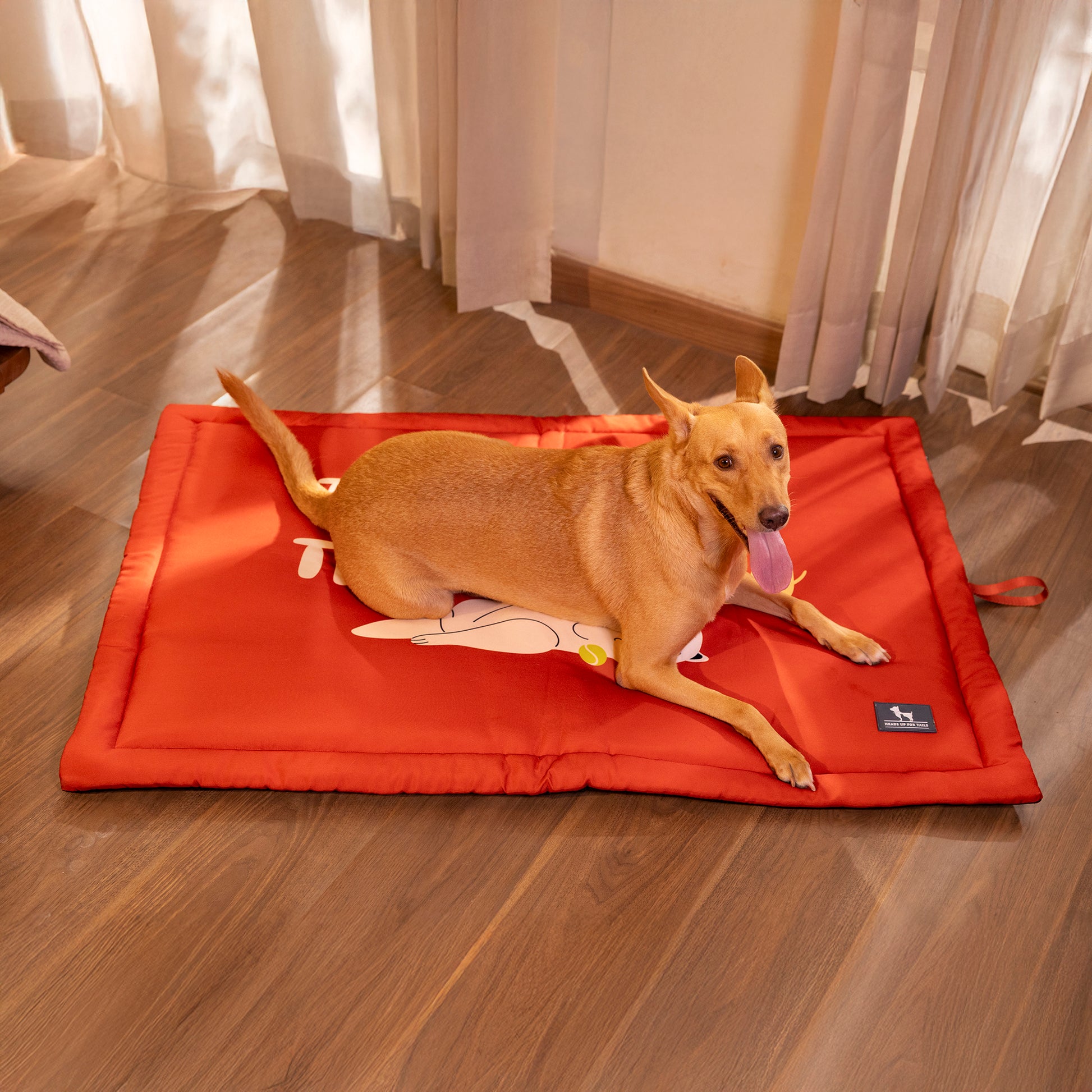 HUFT Thoda Lazy Thoda Crazy Mat For Dog - Rust - Heads Up For Tails