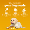 Pedigree Meat & Milk Puppy Dry Puppy Food - Heads Up For Tails