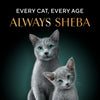 Sheba Deluxe Premium (1+ Years) Tuna and Prawns in Gravy Adult Wet Cat Food - 85 g - Pack - Heads Up For Tails