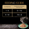 Sheba Rich Premium Adult (1+ Years) SkipJack & Salmon Flavour Wet Cat Food - 35 g Packs