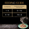Sheba Rich Premium (1+ Years) Fish with Dry Bonito Flavour Adult Wet Cat Food - 35 g - Packs