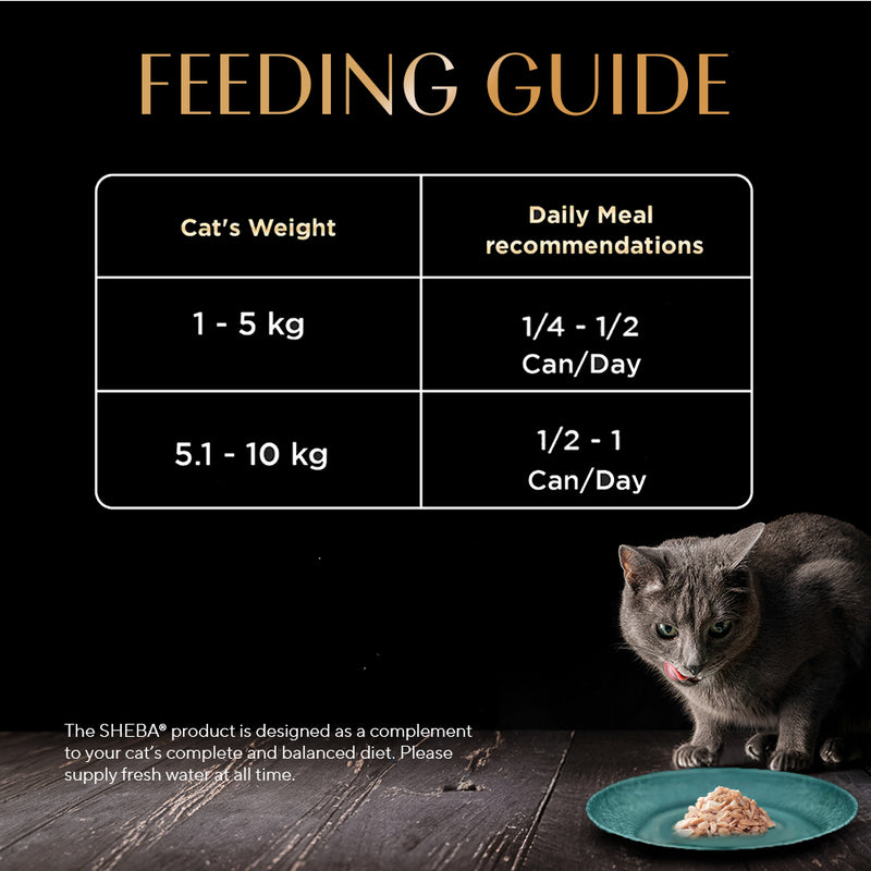 Sheba Deluxe Premium (1+ Years) Tuna Flakes & Salmon In Gravy Adult Cat Wet Food - 85 gm - Pack