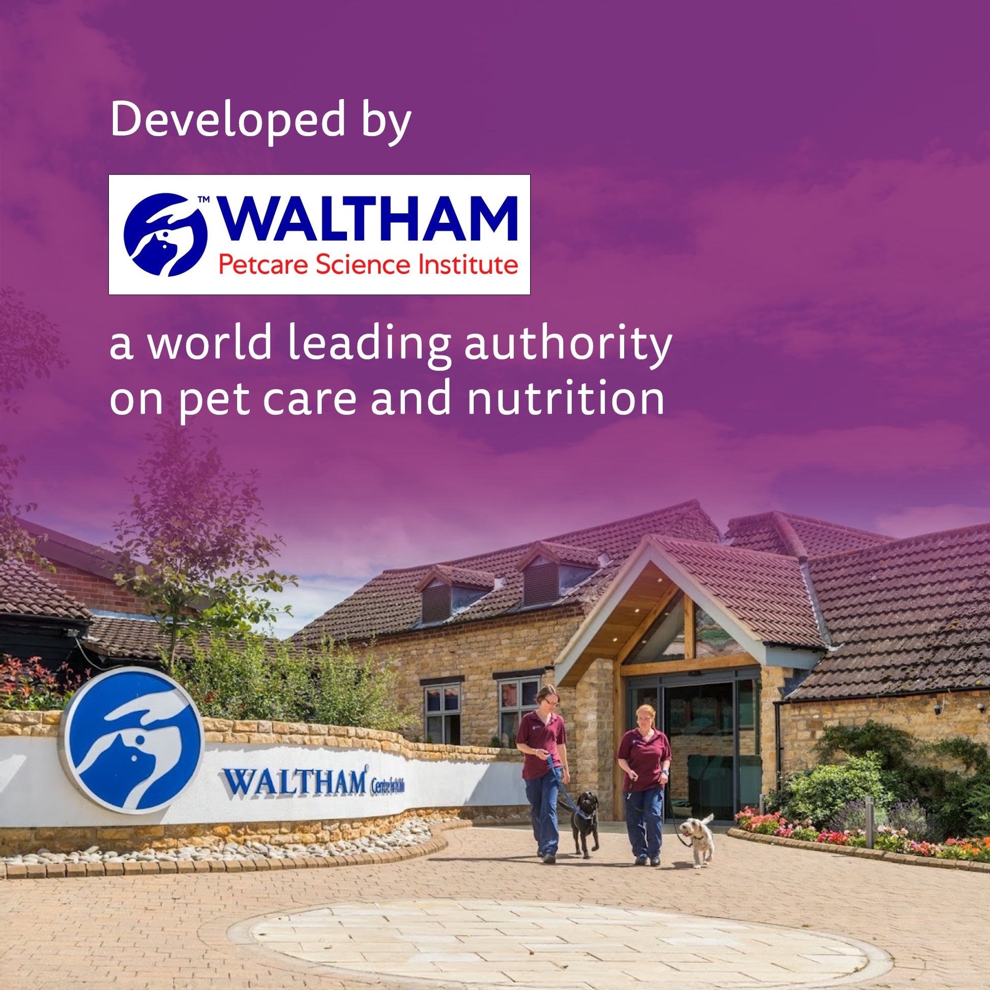 Whiskas Mackerel In Jelly Wet Food For Junior (2-12 Months) Kitten - 80 gm Pack - Heads Up For Tails