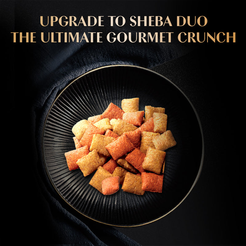 Sheba Duo Tuna & Chicken, Salmon & Tuna, Chicken & Salmon Cat Food - 135 g (Contains 3 Variants)