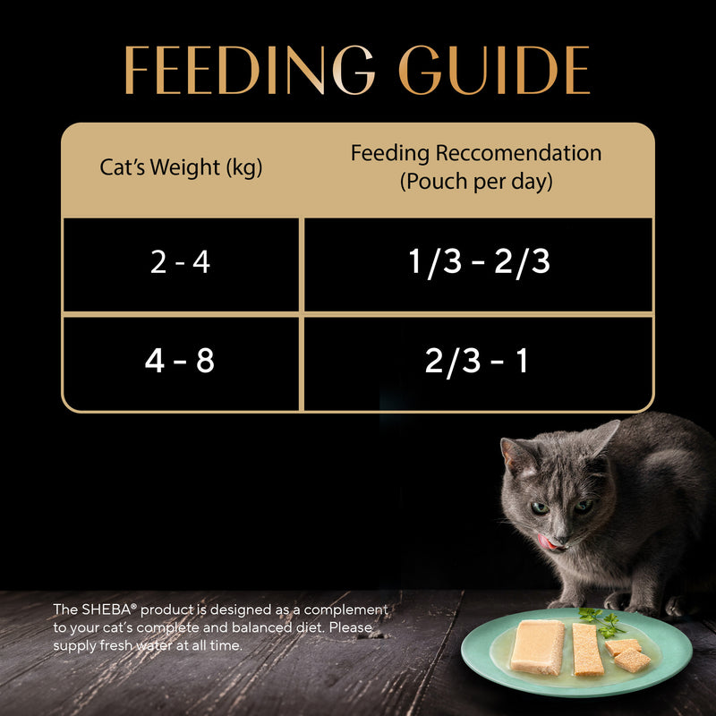 Sheba Chicken Premium Loaf Wet Kitten Food - 70 gm Packs