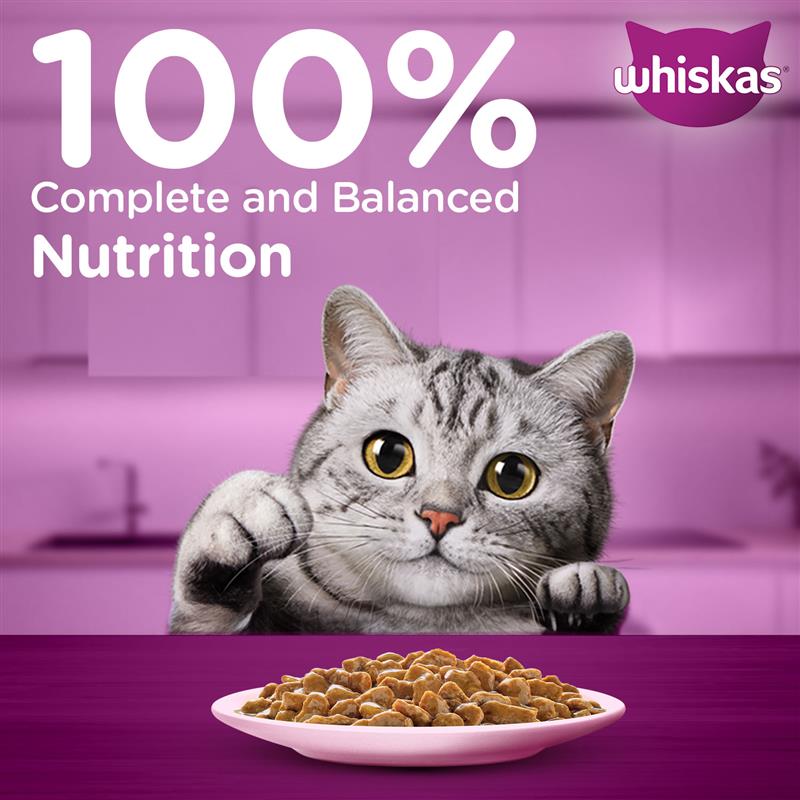 Whiskas Salmon in Gravy (1+ Years) Wet Food For Adult Cat - 80 gm Pack - Heads Up For Tails