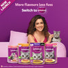Whiskas Mackerel In Jelly (1+ Years) Adult Cat Wet Food - 80 gm Pack
