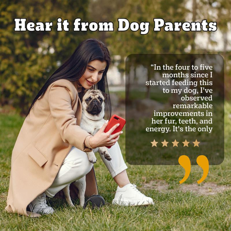 Pedigree PRO Expert Nutrition Adult Small Breed Dogs (9 Months Onwards) Dry Dog Food - Heads Up For Tails