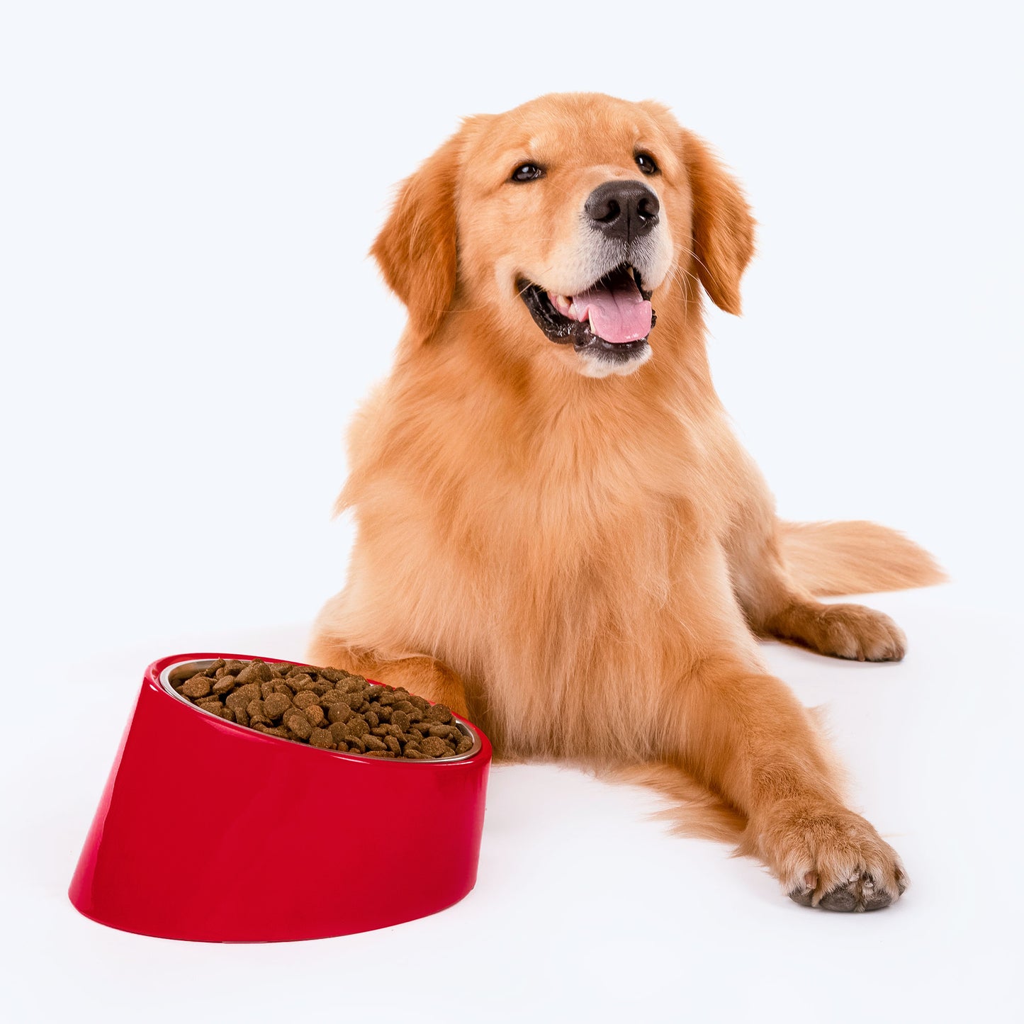 HUFT Melamine Slant Bowl With Steel Inserts For Dog - Red - Heads Up For Tails