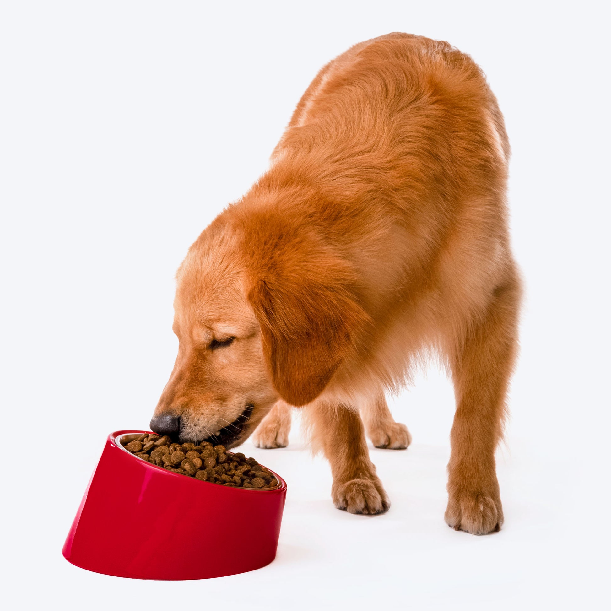 HUFT Melamine Slant Bowl With Steel Inserts For Dog - Red - Heads Up For Tails