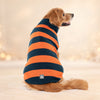 TLC Pumpkin Patch Sweater For Dog - Orange & Navy Blue