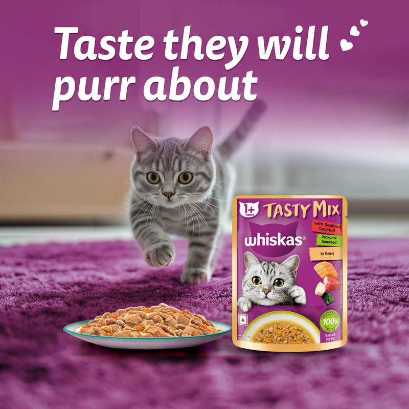 Whiskas Tasty Mix Wet Food Made With Real Fish (Seafood Cocktail & Wakame Seaweed) in Gravy For Adult (1+ year) Cat - 70 gm Pack - Heads Up For Tails