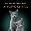 Sheba Deluxe Premium (1+ Years) Succulent Chicken Breast in Gravy Adult Wet Cat Food - 85 gm Packs - Heads Up For Tails