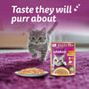 Whiskas Tasty Mix Wet Food Made With Real Fish (Tuna & Kanikama), And Carrot in Gravy For Adult (1+ year) Cat - 70 gm Pack - Heads Up For Tails