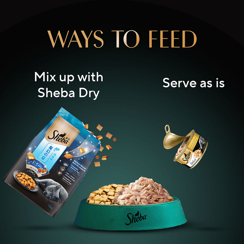 Sheba Deluxe Premium (1+ Years) Tuna and Prawns in Gravy Adult Wet Cat Food - 85 g - Pack - Heads Up For Tails