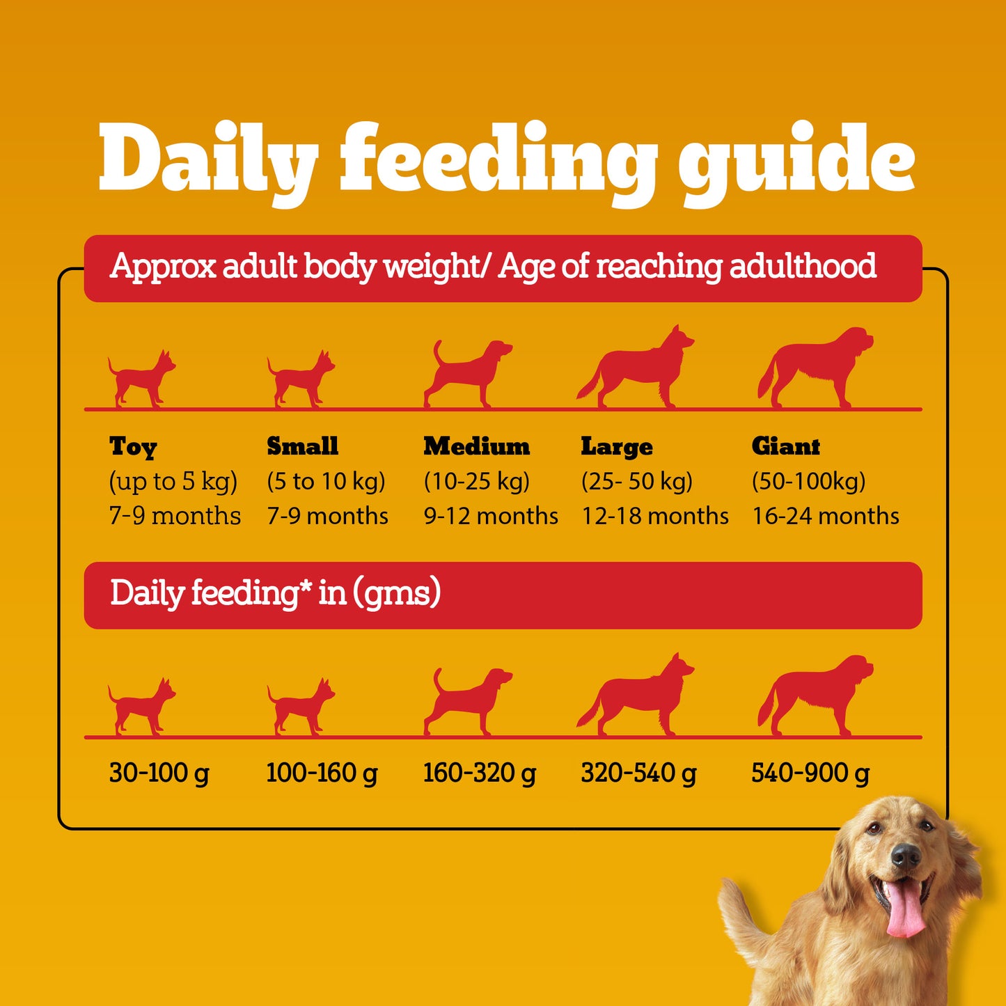 Pedigree Meat & Rice Adult Dry Dog Food - Heads Up For Tails