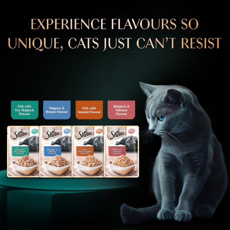 Sheba Rich Premium (1+ Years) Fish with Dry Bonito Flavour Adult Wet Cat Food - 35 g - Packs