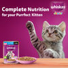 Whiskas Tuna in Jelly (2-12 Months) Wet Food For Kitten - 80 gm Pack - Heads Up For Tails