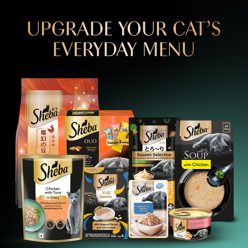 Sheba Rich Chicken Premium Loaf Adult Wet Cat Food - 70 gm Packs