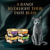 Sheba Deluxe Premium (1+ Years) Tuna and Prawns in Gravy Adult Wet Cat Food - 85 g - Pack - Heads Up For Tails
