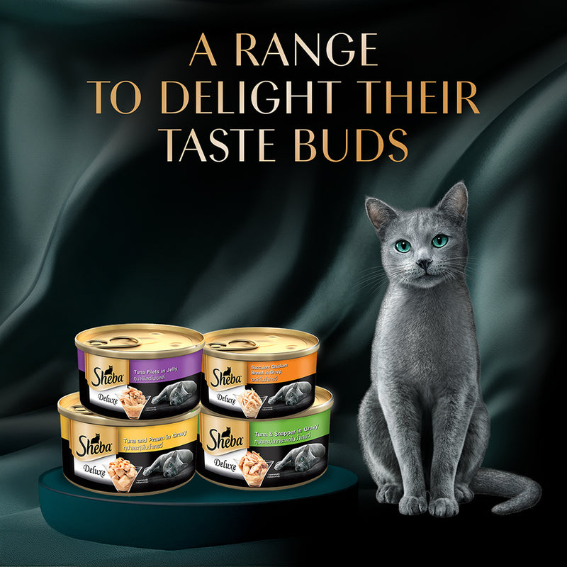 Sheba Deluxe Premium (1+ Years) Tuna and Prawns in Gravy Adult Wet Cat Food - 85 g - Pack - Heads Up For Tails