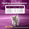 Whiskas Mackerel In Jelly Wet Food For Junior (2-12 Months) Kitten - 80 gm Pack - Heads Up For Tails