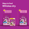 Whiskas Ocean Fish Dry Food For Kitten (2-12 Months) - Heads Up For Tails