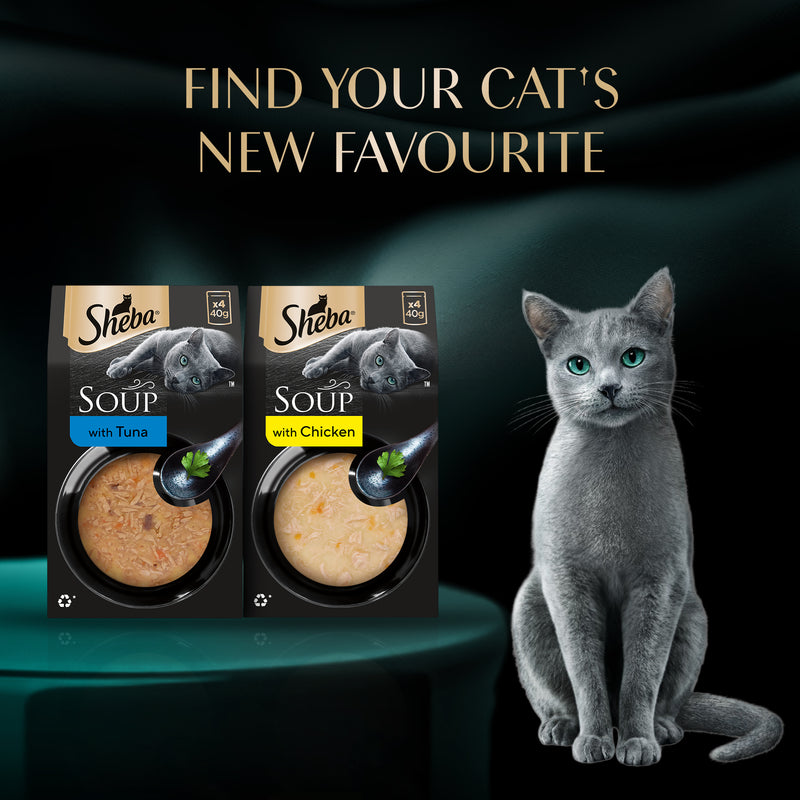 Sheba Soup With Tuna Wet Food For Cat - 40 gm x 4 pcs - Heads Up For Tails