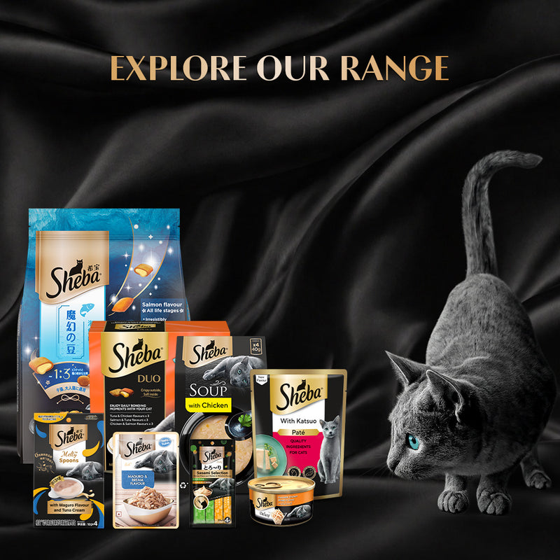 Sheba Duo Tuna & Chicken, Salmon & Tuna, Chicken & Salmon Cat Food - 135 g (Contains 3 Variants)