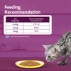 Whiskas Mackerel In Jelly (1+ Years) Adult Cat Wet Food - 80 gm Pack