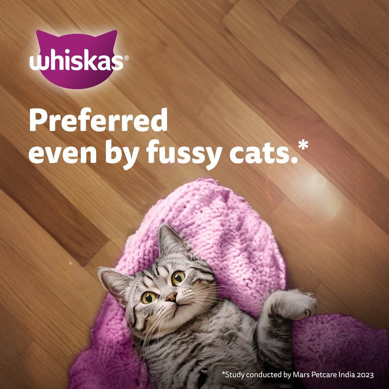 Whiskas Chicken in Gravy (2-12 Months) Wet Food For Junior Kitten - 80 gm Pack - Heads Up For Tails
