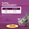 Whiskas Chicken with Salmon in Jelly Flavour (1+ Years) Adult Cat Wet Food - 80 gm Pack