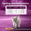 Whiskas Chicken With Salmon In Jelly Wet Food For Junior (2-12 Months) Kitten - 80 gm Pack - Heads Up For Tails