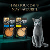 Sheba Soup With Tuna Wet Food For Cat - 40 gm x 4 pcs