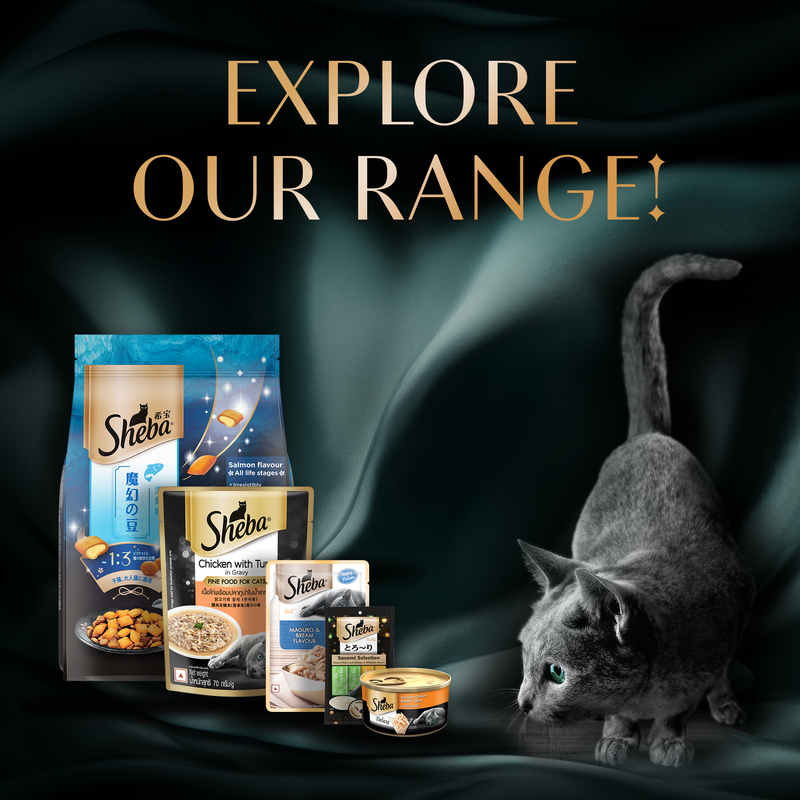 Sheba Deluxe Premium (1+ Years) Succulent Chicken Breast in Gravy Adult Wet Cat Food - 85 gm Packs - Heads Up For Tails