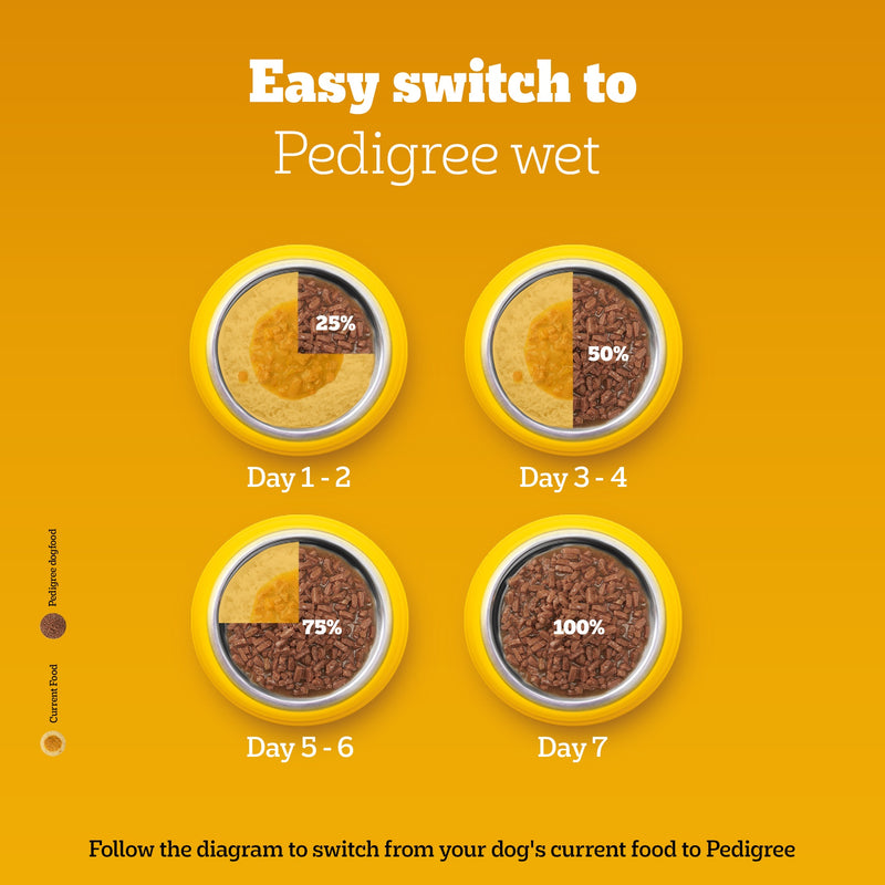 Pedigree Chicken & Liver Chunks In Gravy Adult Dog Wet Food - 130 g - Heads Up For Tails
