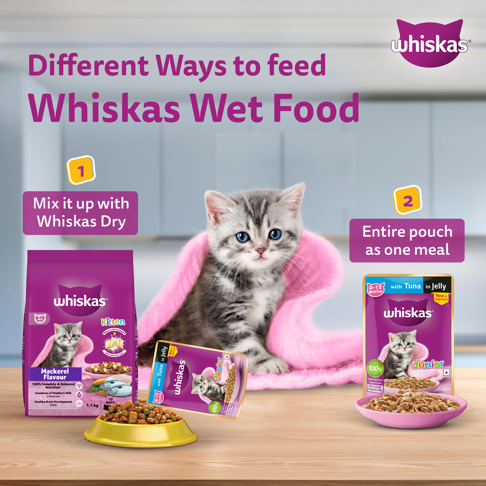Whiskas Chicken With Salmon In Jelly Wet Food For Junior (2-12 Months) Kitten - 80 gm Pack - Heads Up For Tails