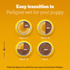 Pedigree Chicken & Liver Chunks in Gravy Wet Puppy Food - 70 g packs - Heads Up For Tails