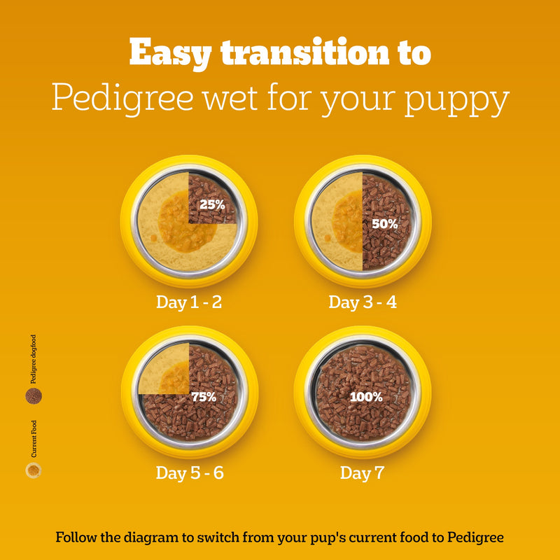 Pedigree Chicken & Liver Chunks in Gravy Wet Puppy Food - 70 g packs - Heads Up For Tails