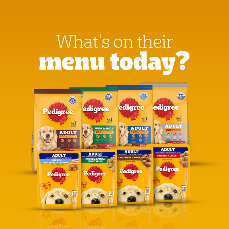Pedigree Chicken & Liver Chunks in Gravy Adult Wet Dog Food - 70 g packs - Heads Up For Tails