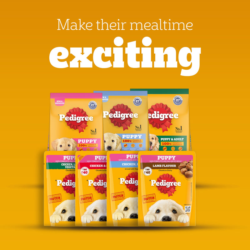 Pedigree Chicken & Liver Chunks In Gravy Puppy Wet Food - 130 g - Heads Up For Tails