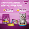 Whiskas Tuna in Jelly (1+ Years) Wet Food For Adult Cat - 80 gm Pack - Heads Up For Tails