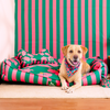 HUFT Pawsome Blossom Lounger Bed For Dog - Green & Pink - Heads Up For Tails